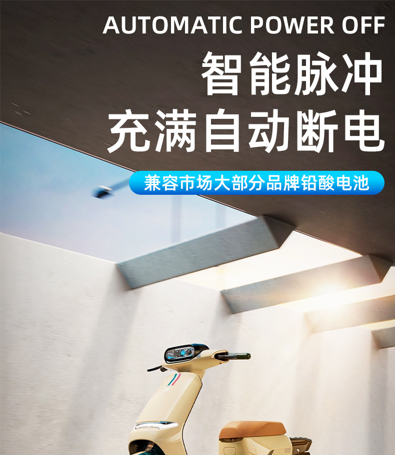 2025 New Electric Vehicle Pulse Repairer Charger Intelligent Repair Activation Power Loss Automatic Power-Off Voltage Stabilizer