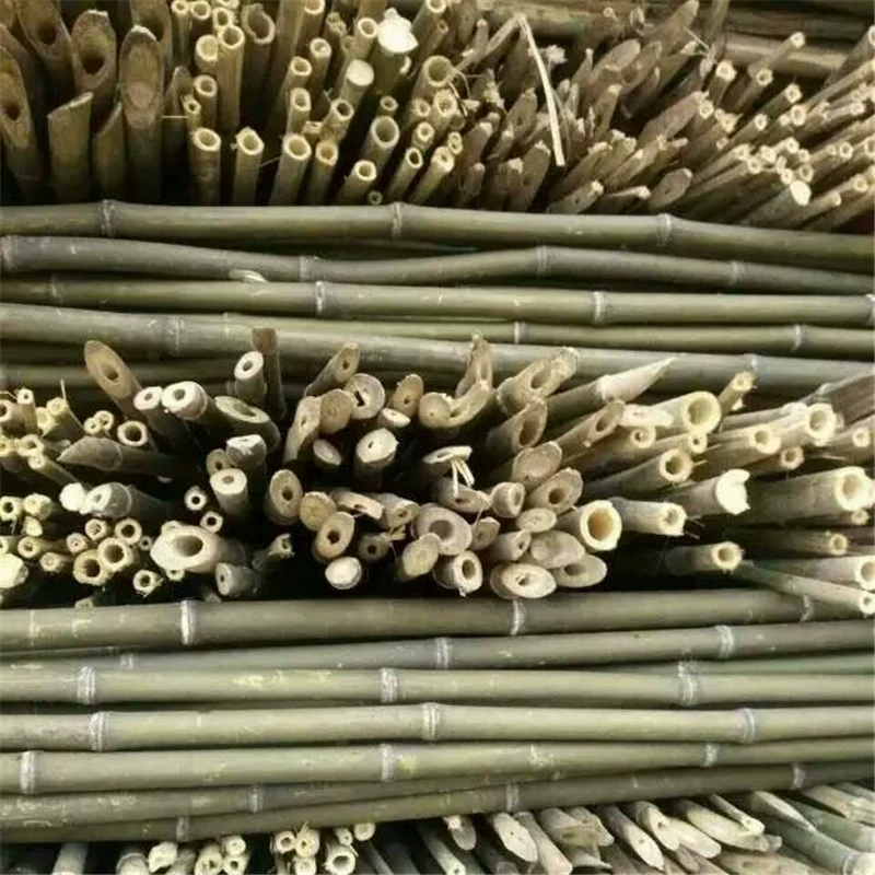 Бамбуковая стойка для овощей, бамбуковая оптовая продажа, различные спецификации, обработка флагштока, высокое качество, низкая цена, большое количество, льготное производство, источник производителя