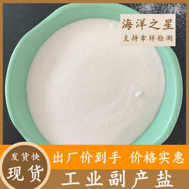 工业级副产盐 水泥助磨剂用副产盐氯化钠 现货批发工业盐NaCl