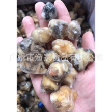 ������^�����⎧��20���������������������������͟�����ʳ��