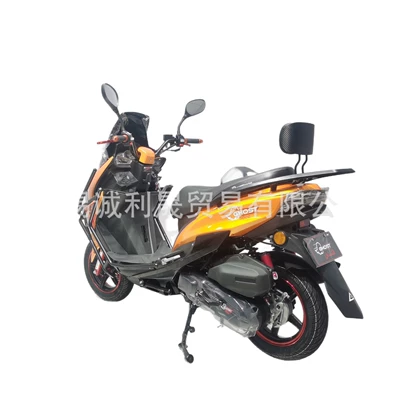 Sabre-Toothed Tiger Scooter, Motosikletlər