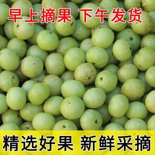 ���x���r�͸ʹ���ʹ����ϙ��ЋD��ˮ��Ұ��ţ�ʹ����͸��ӵ��ϙ�