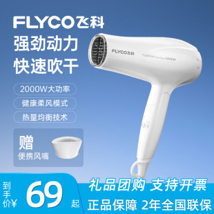 Feike Hair Dryer Household High Power 2000W Hair Care Foldable Hair Salon Household Electric Hair Dryer FH6232