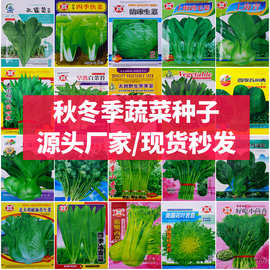 四季春夏秋季蔬菜种子瓜果种籽阳台盆栽农田菜园蔬菜种子大全批发