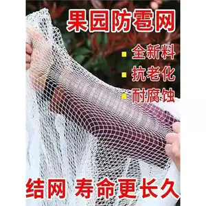 [防雹网果园防鸟网葡萄网园艺防冰雹网全新白色聚乙烯厂家直销防护]