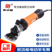 ��Э���¿�綯��ë������ŷ��Ʒ�ʵ綯����6�����ٶ���綯����