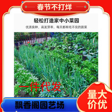 ߲˷NļN̨˲}С[ݴȫ