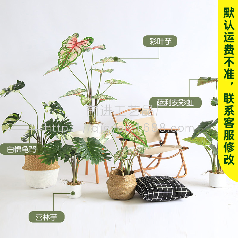 仿生植物盆栽彩叶芋北欧INS客厅装饰绿植仿真植物龟背竹喜林芋