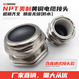 美制牙铜接头NPT1/4-NPT金属电缆防水接头电缆 密封固定锁线IP68