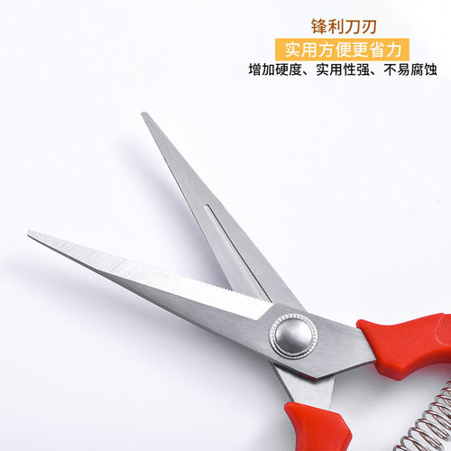 Factory wholesale pruning shears multi-function branch scissors floral scissors stainless steel grape scissors gardening garden scissors