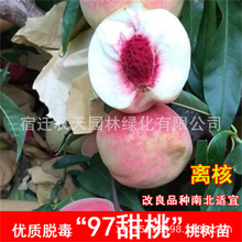 �Ҙ�޽���ˮ�����������ϱ����N���Թ��䶬�Ҙ���箔��Y��