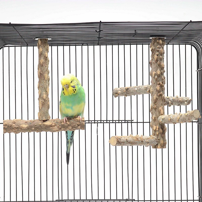 Пион Сюаньфэн птица тигровая шкура попугай из перца