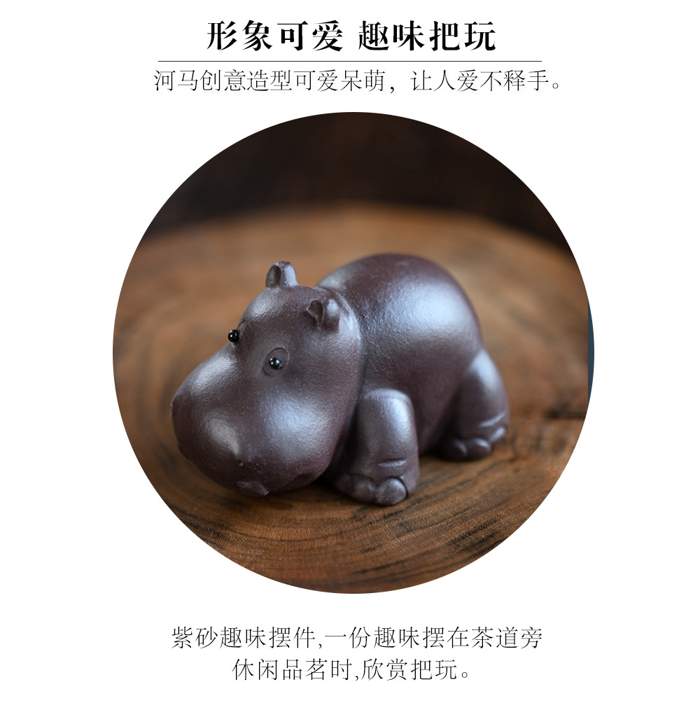 小河马20240528 (20).jpg