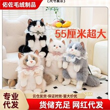 ���沼ż������ż؈���p�������ë�q������߃�ͯŮ�������b�