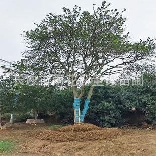 ���ԅ����㙴 �������� �������Ә� ������ �ظ��� ��ϵ�� �׳ɻ�