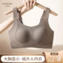 兔耳朵固定大码无痕小内衣
