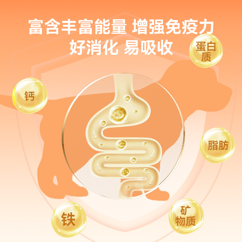 Galletas de barril grandes con sabor a leche para perros