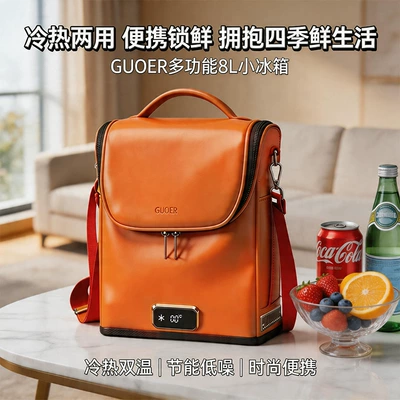 Camping Cooler and Warmer, Soyuducular