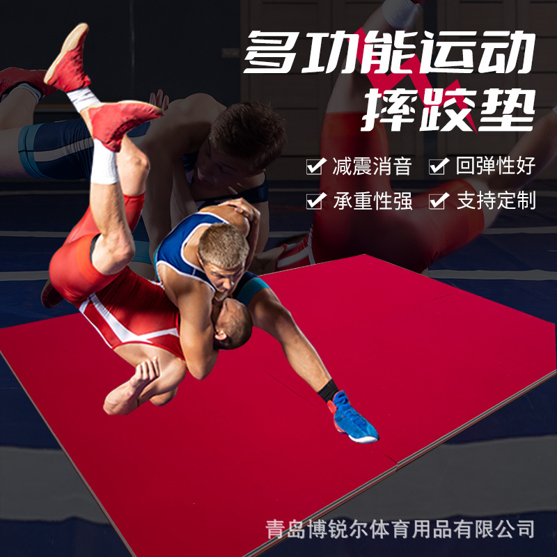 Multifunctional Sports Wrestling Mat, Taekwondo Sit-Ups, Fighting Floor Mat, Non-Slip, Shock-Absorbing, Silencer Wrestling Floor Mat