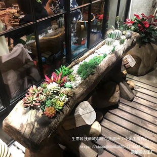 ������ľ�����̨ľ�^�������ľ�^�ۻ��@��������ͥԺľ���L����