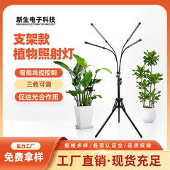 2灯式、5灯式、スタンド型LED植物育成ライト、植物の成長を促進、開花・結実をサポート、補光灯、照射灯