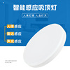 led Induction Ceiling lamp Voice control Corridor stairs Aisle household register and obtain a residence permit Corridor automatic radar human body Induction lamp