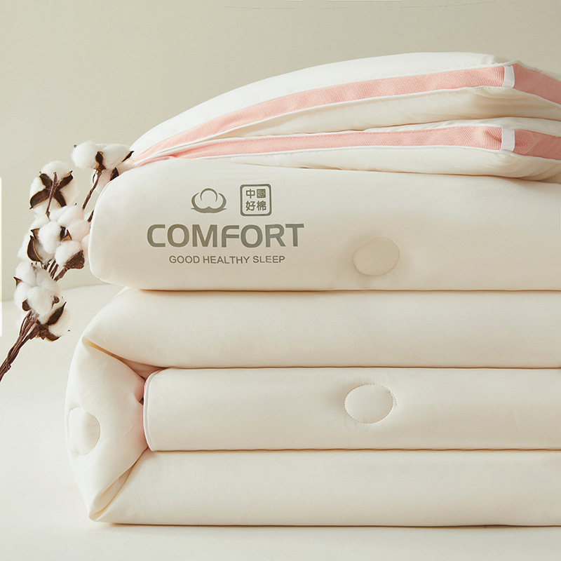 Class a Skin-Friendly Cotton Soft Waxy Soybean Quilt Thickeneded Winter Quilt Air-Conditioned Quilt Student Dormitory Single Spring & Fall Quilt Quilt Core