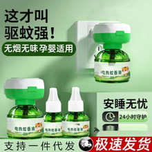 電蚊香液無香味電熱加熱器母嬰可用驅蚊液全家適用一件包郵批發