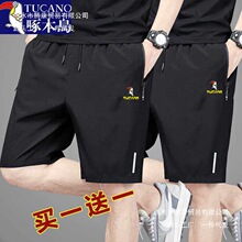 ��ľ�B��ѝ���ļ����z�����⴩�ٸɌ��ɻ@��ѝ������e�\��ѝ����