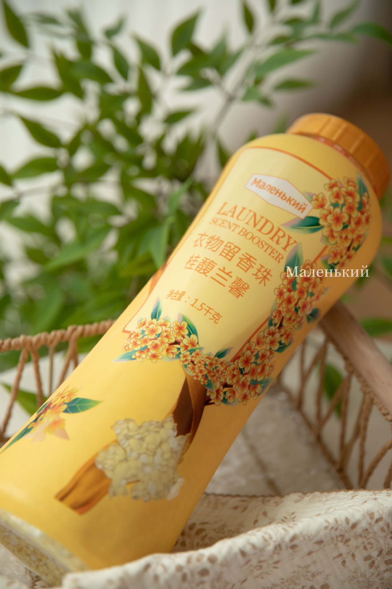 b3ddb497-16d9-4108-90ed-d03958