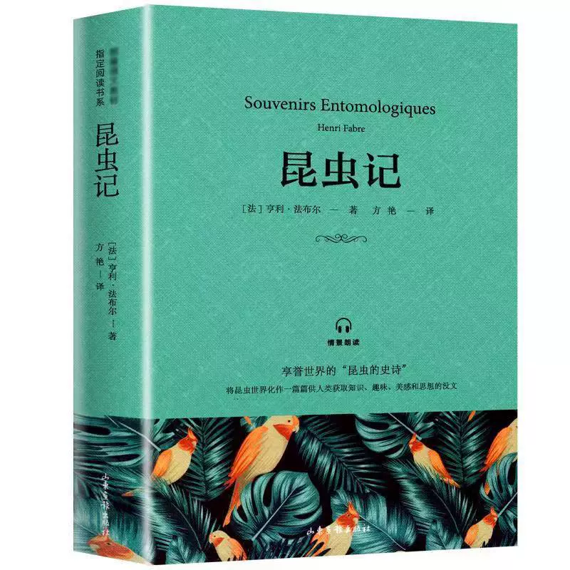 Insect Uncuttered Edition Eighth Grade Fabur Original Junior High School Young Extra -Class Book Reading