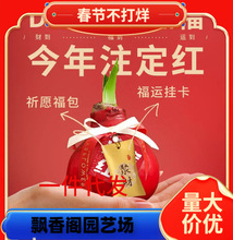 ��피t�����ذ�ΰ��pɫ׃ɫ�N������������^��ֲ�����Ի���