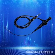 �Ǹ]�\���٘��w�ʴ�z���\�����ȸQ�z��ϵ�y�t���w�S���ʺ��R