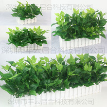 ľ�řھG�}���b��ֲ��[�����໨���b�����������bٲݼٻ�