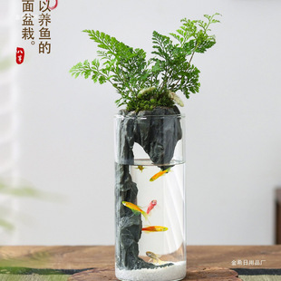 ��βާ�����҃�����΢���^���BƿС�~���k������Gֲ���B���ͶY��