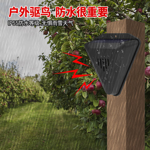 ��B���~���������s��B���쵾�����@��������̫��ܶ��r