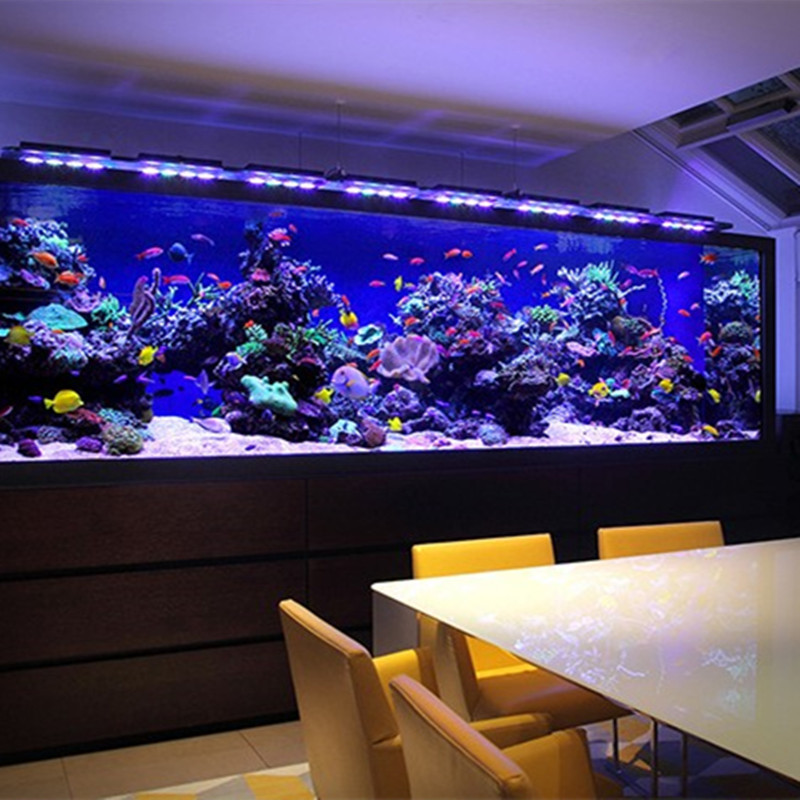 large Acrylic fish tank design Watch Glass seabed Tunnel Aquarium Landscaping Customized Cylinder fish tank