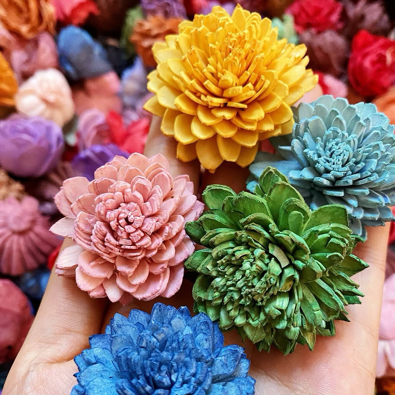 O1CN015blYtA1xPjq1GTYqS_!!2209