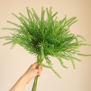 �羳����Gֲ4֧���JȔ��ˮ�� ���W��Y��̨��ˇ�쾰�bGֲ�[��