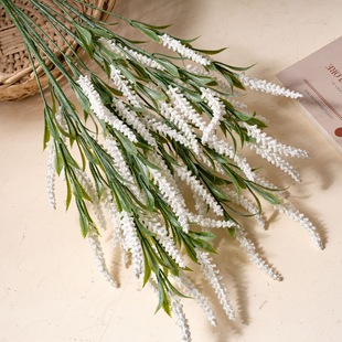 ɯ15^PβݏSINSL滨Ҿb羳clٻCL21301