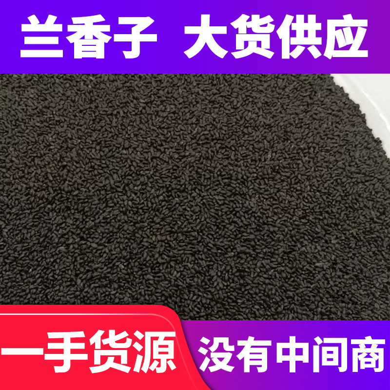 一手货源进口兰香子奶茶饮料厂货源商用明列子厂家直销现货兰香子