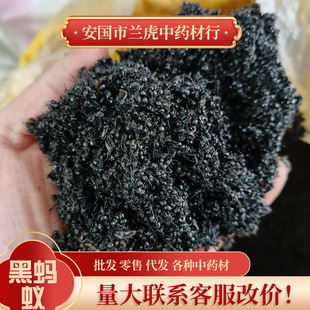 ���l��ș�ĺ�Λρ Λρ�� �ݾ�Λρ Λρ�� ��؛�oѬȾ ��ρ��؛