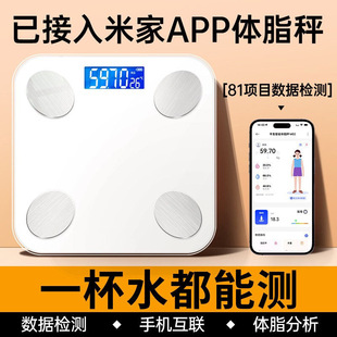 �w�سӼ��������w֬�ӳ��С�;�׼���w��ӷQ��Ӌ�ѽ����׼�APP