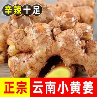 ���С�S����ɽ�F���r�����r�������ӽ��Ͻ����l5��Ž���]���l