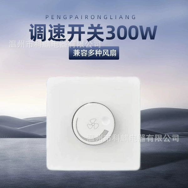 Switch key, 300W