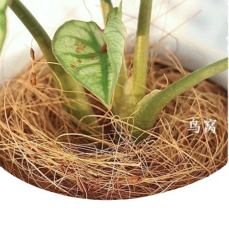 2024-07-22 11:06:05.jpg