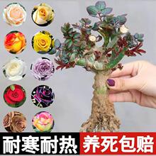 õ�廨�����Ϙ��¼������ľ�������҃����ļ��_���ϸ�������
