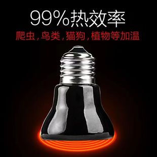 ����������t������x�մɼӟ��ȡů��������汣�؟�25W50W75W