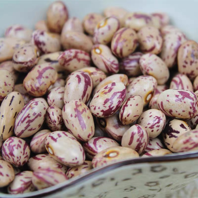 雀蛋豆新货云南农家自种金丝豆红花豆奶花豆芸豆五谷杂粮粗粮包邮-阿里巴巴
