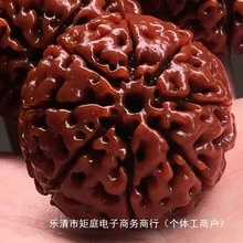 精挑尼泊尔大金刚菩提子原籽手串单颗爆肉沉水七八瓣散珠男士佛珠
